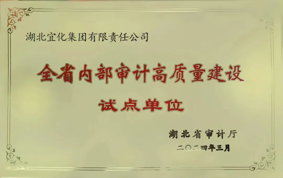 宜化集團(tuán)獲評全省內(nèi)部審計(jì)高質(zhì)量建設(shè)試點(diǎn)單位(圖2)