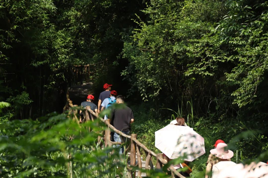 相遇初夏見證美好！楚星公司開展班組團(tuán)建活動(圖3)