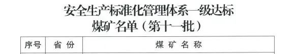 新疆宜化礦業獲評國家安全生產標準化管理體系一級達標煤礦(圖3)