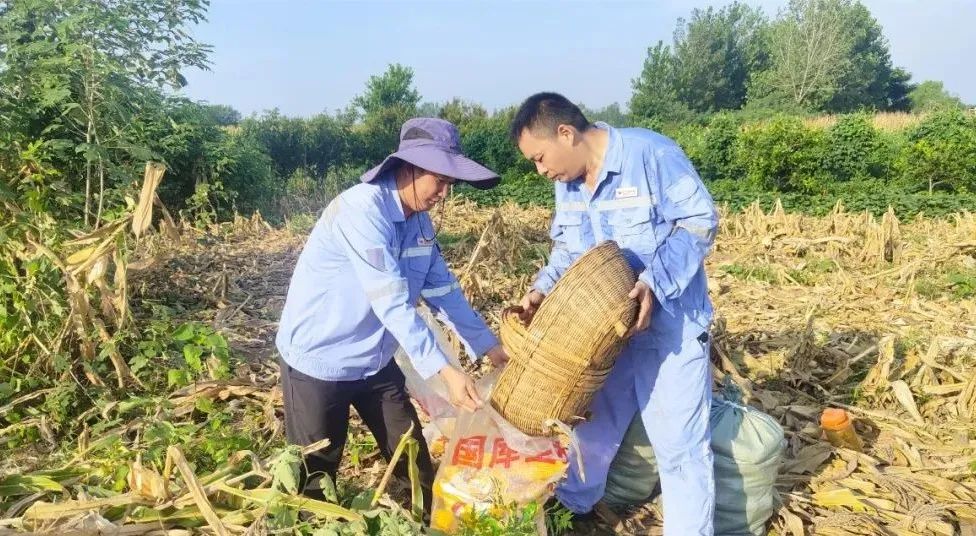 新材料公司：正是豐收好時節，志愿助農暖人心(圖3)